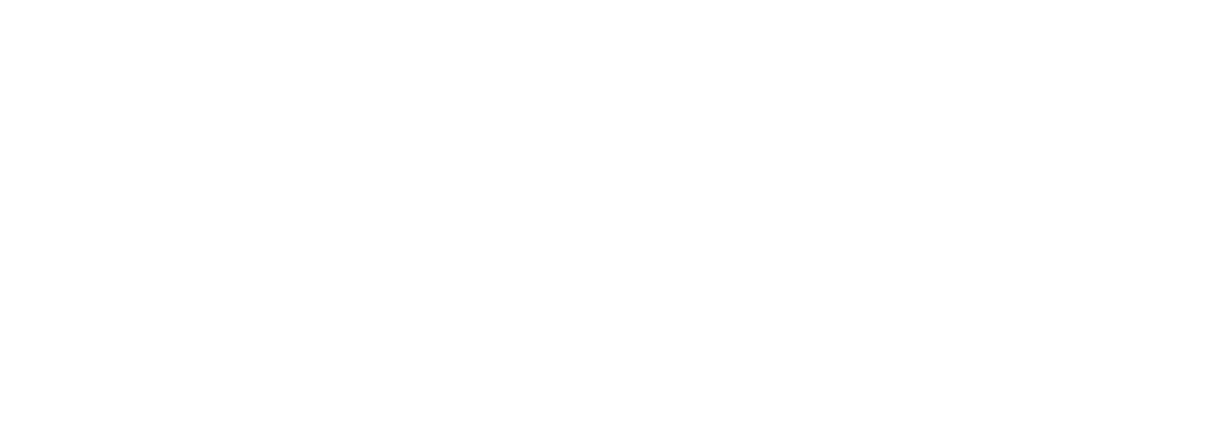 Nexora Business Solution